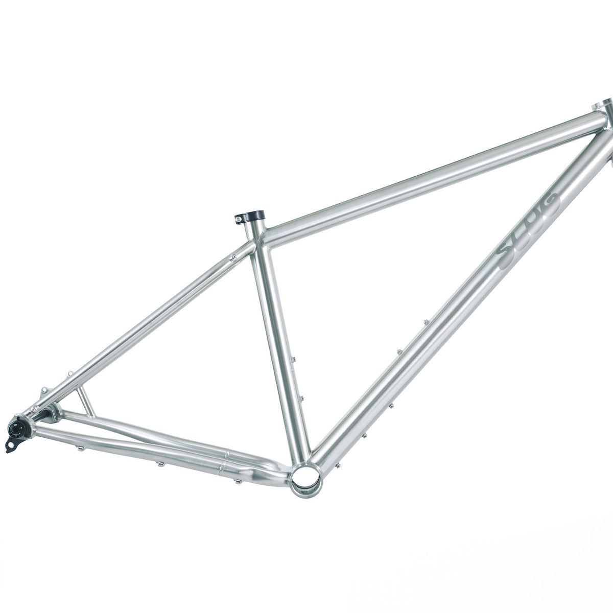 Slug Gasser — Titanium Hardtail Frameset | Slug Bicycles