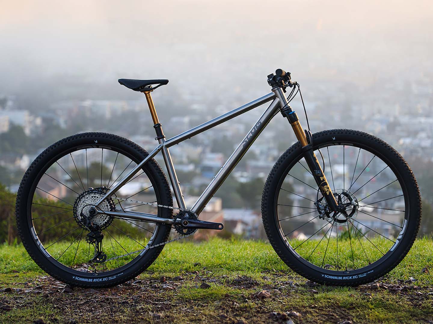 Gasser Hardtail Mountain Bike
